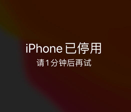 筠连苹果手机维修分享:iPhone 显示“不可用”或“已停用”怎么办？还能保留数据吗？ 