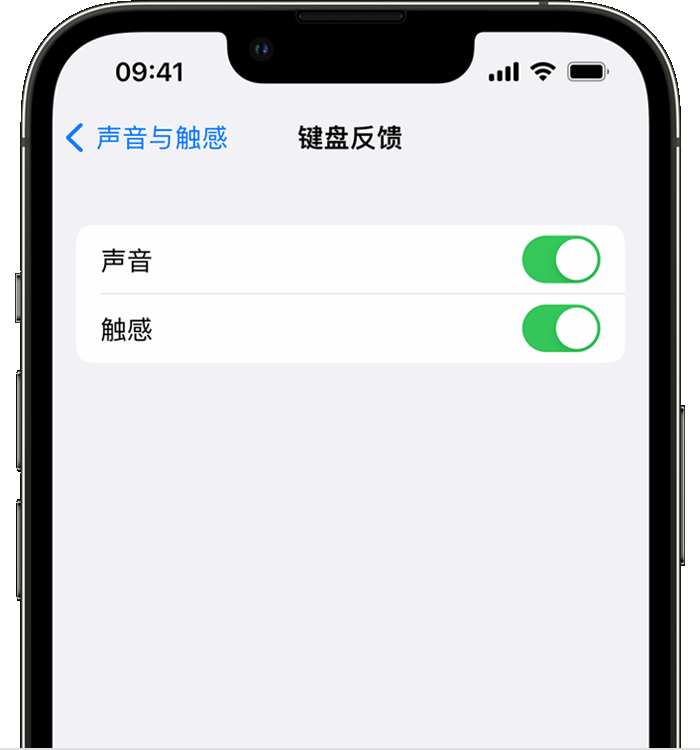 筠连苹果14维修店分享如何在 iPhone 14 机型中使用触感键盘 