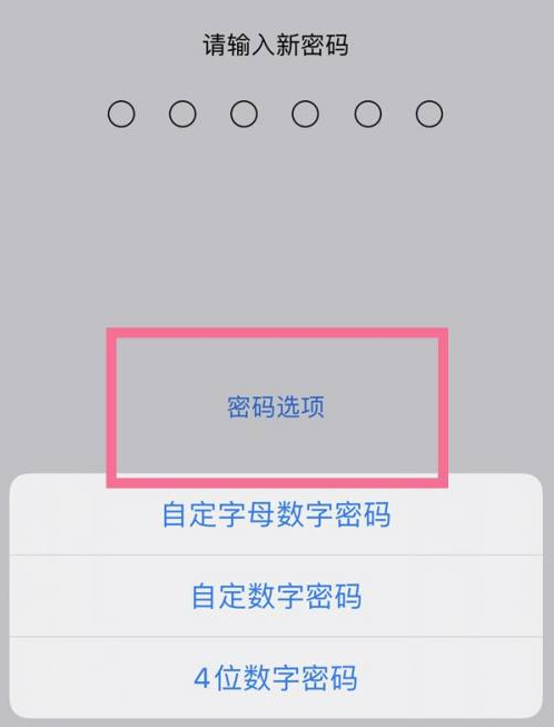 筠连苹果14维修分享iPhone 14plus设置密码的方法 