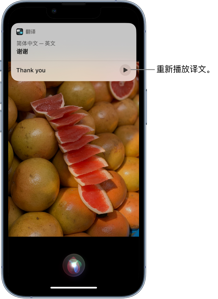 筠连苹果14维修分享 iPhone 14 机型中使用 Siri：了解 Siri 能帮你做什么 