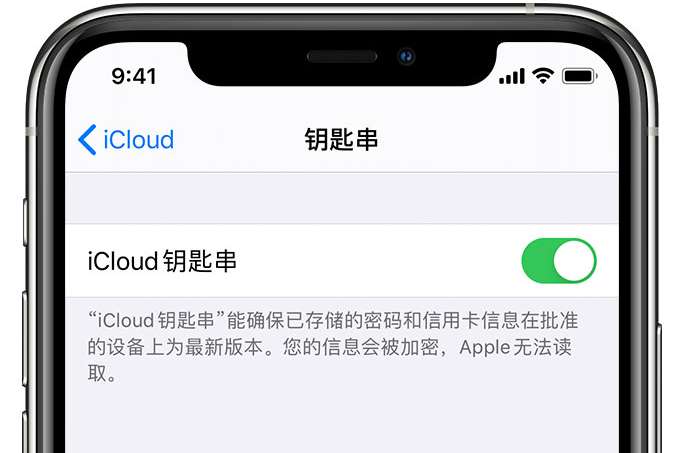 筠连苹果手机维修分享在 iPhone 上开启 iCloud 钥匙串之后会储存哪些信息 