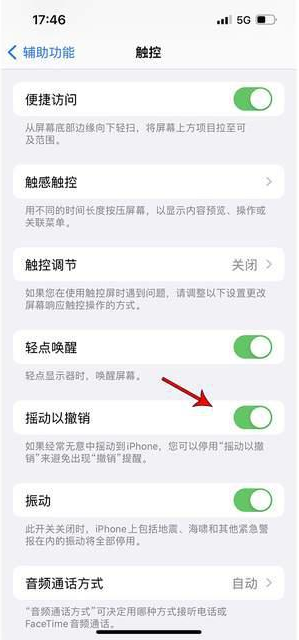 筠连苹果手机维修分享iPhone手机如何设置摇一摇删除文字 