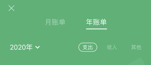 筠连苹果手机维修分享如何在 iPhone 上查看支付宝和微信年支出账单 